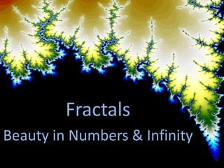 Fractals
Beauty in Numbers & Infinity
 