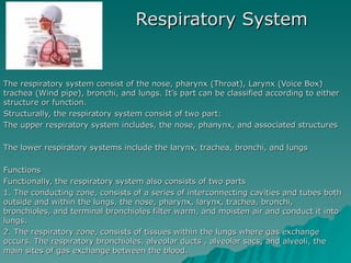 Respiratory System The respiratory system consist of the nose, pharynx (Throat), Larynx (Voice Box) trachea (Wind pipe), bronchi, and lungs. It’s part can be classified according to either structure or function.  Structurally, the respiratory system consist of two part: The upper respiratory system includes, the nose, phanynx, and associated structures The lower respiratory systems include the larynx, trachea, bronchi, and lungs Functions Functionally, the respiratory system also consists of two parts 1. The conducting zone, consists of a series of interconnecting cavities and tubes both outside and within the lungs, the nose, pharynx, larynx, trachea, bronchi, bronchioles, and terminal bronchioles filter warm, and moisten air and conduct it into lungs.  2. The respiratory zone, consists of tissues within the lungs where gas exchange occurs. The respiratory bronchioles, alveolar ducts , alveolar sacs, and alveoli, the main sites of gas exchange between the blood.  