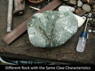  Different Rock with the Same Claw Characteristics<br />