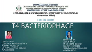 T4 BACTERIOPHAGE
SUBMITTED TO
GUIDE :Dr. C. MARIAPPAN, PH. D
ASISTANT PROFESSOR
SRI PARAMAKALYANI COLLEGE
ALWARKURICHI.
SUBMITTED BY
ARUL THIVYA K
M. SC., MICRO BIOLOGY
REG:20211232516104
SRI PARAMAKALYANI COLLEGE
ALWARKURICHI
 