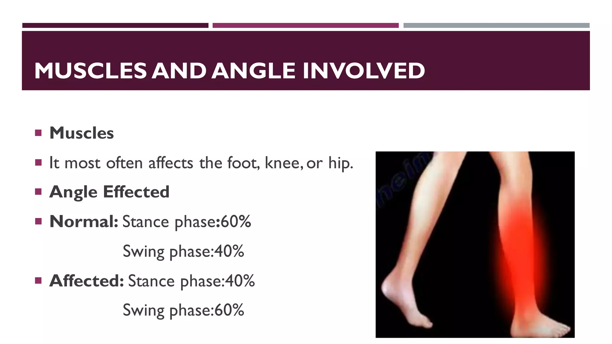 MUSCLES AND ANGLE INVOLVED
 Muscles
 It most often affects the foot, knee,or hip.
 Angle Effected
 Normal: Stance phase:60%
Swing phase:40%
 Affected: Stance phase:40%
Swing phase:60%
 