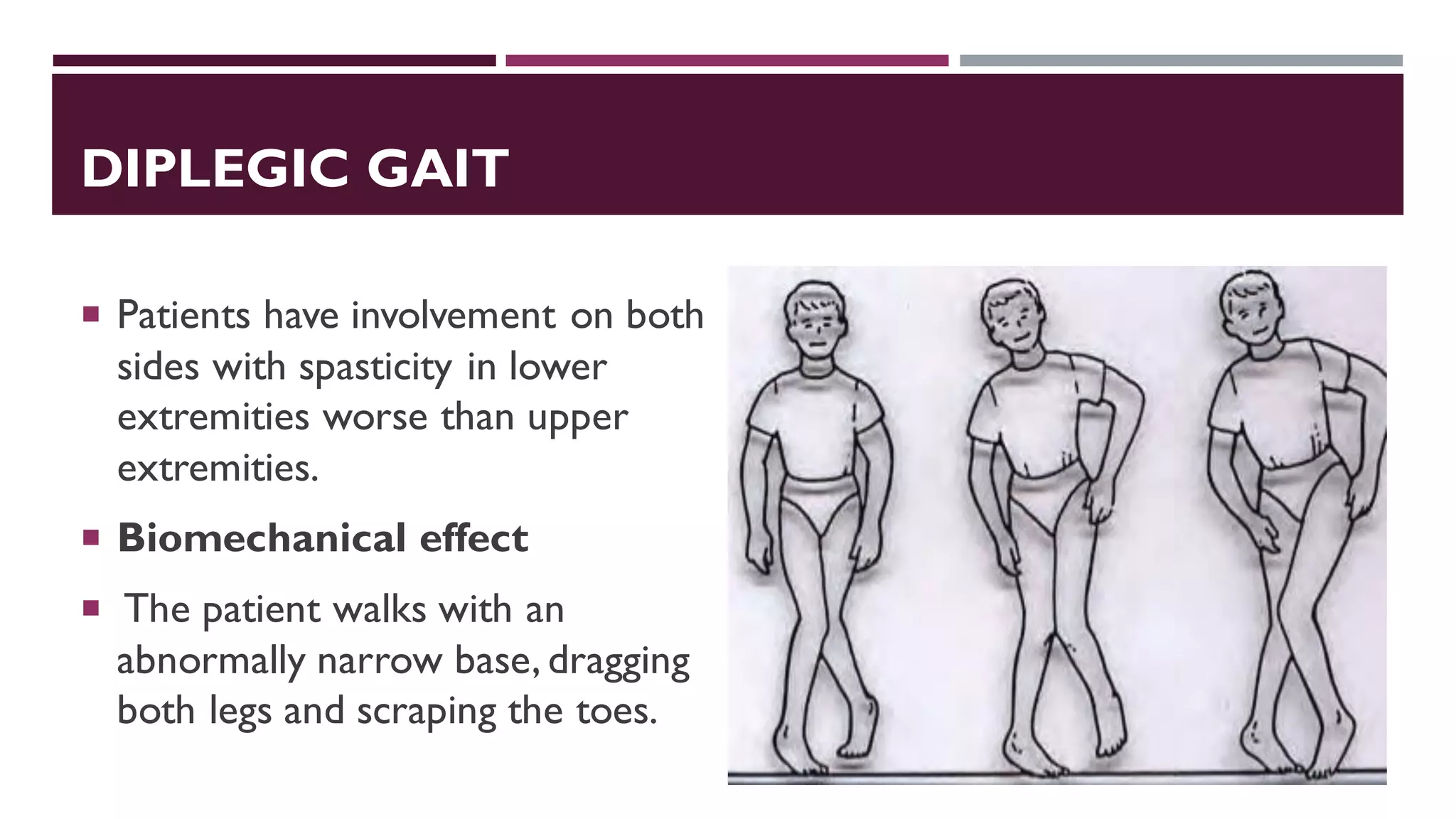 DIPLEGIC GAIT
 Patients have involvement on both
sides with spasticity in lower
extremities worse than upper
extremities.
 Biomechanical effect
 The patient walks with an
abnormally narrow base, dragging
both legs and scraping the toes.
 