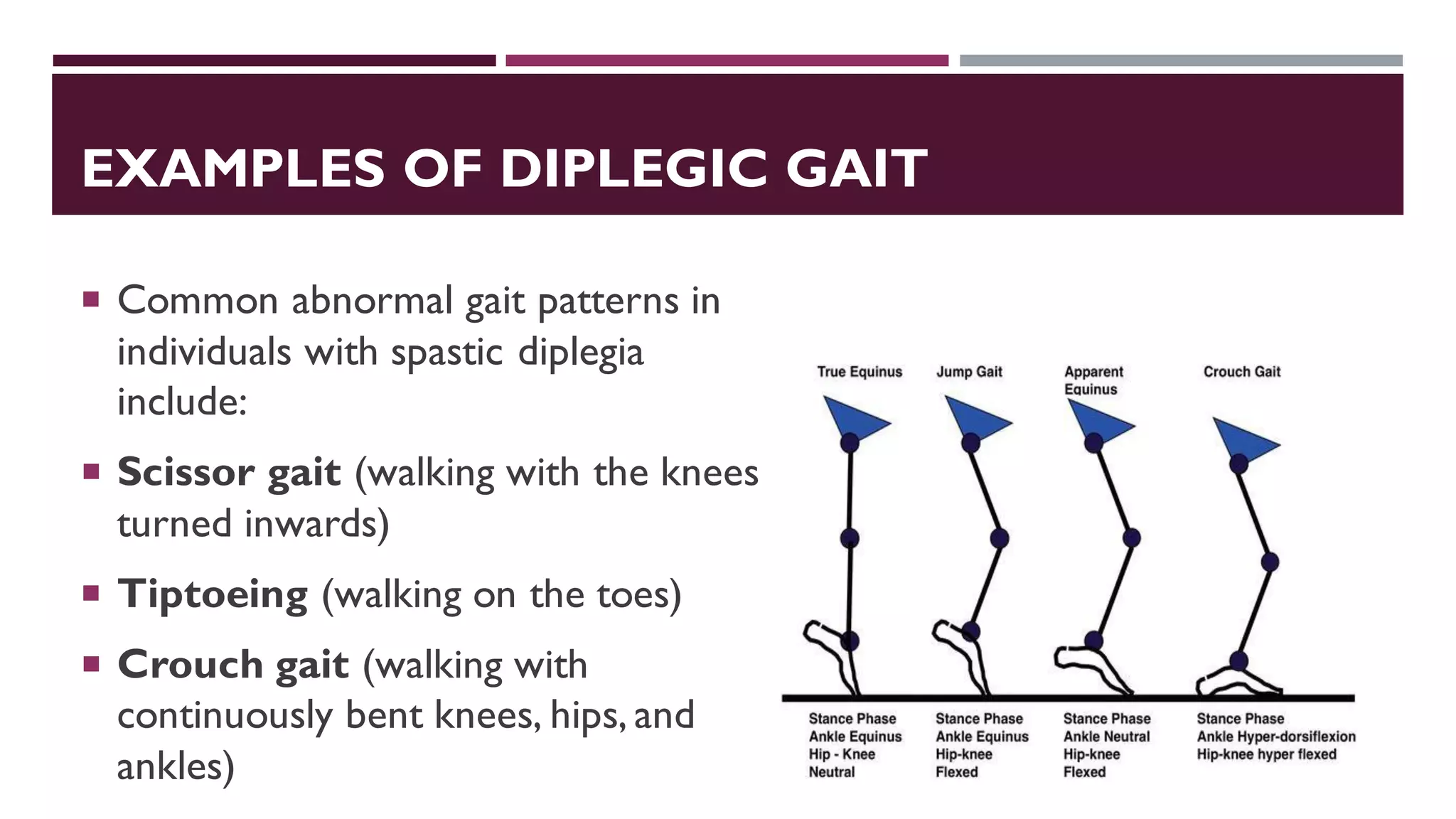 EXAMPLES OF DIPLEGIC GAIT
 Common abnormal gait patterns in
individuals with spastic diplegia
include:
 Scissor gait (walking with the knees
turned inwards)
 Tiptoeing (walking on the toes)
 Crouch gait (walking with
continuously bent knees, hips, and
ankles)
 