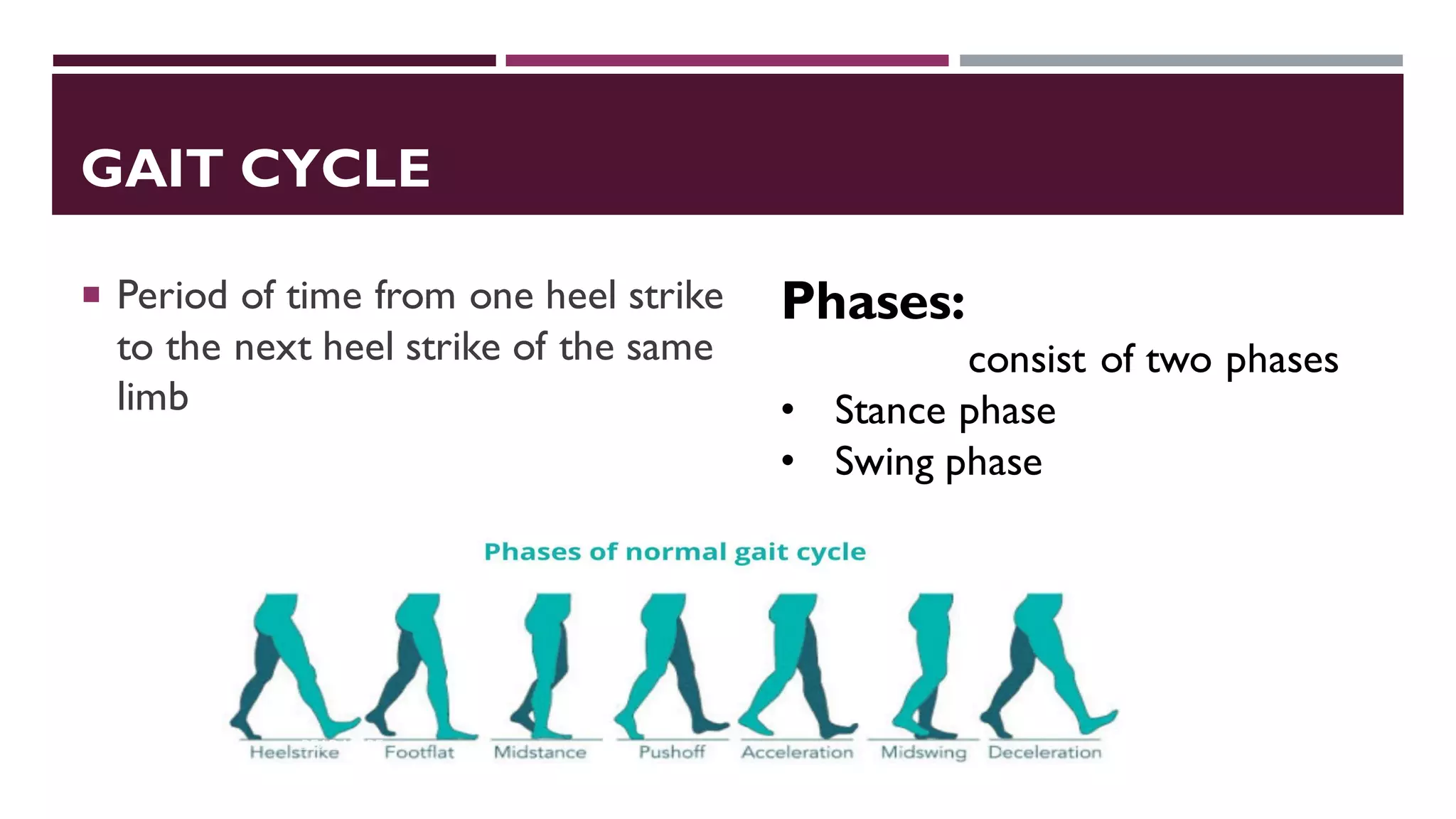 GAIT CYCLE
 Period of time from one heel strike
to the next heel strike of the same
limb
Phases:
consist of two phases
• Stance phase
• Swing phase
 