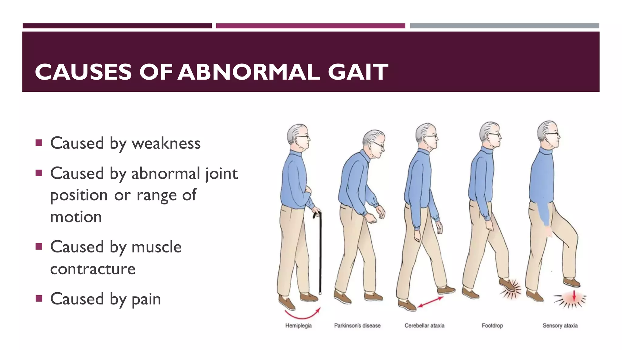 CAUSES OF ABNORMAL GAIT
 Caused by weakness
 Caused by abnormal joint
position or range of
motion
 Caused by muscle
contracture
 Caused by pain
 