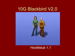 10G Blackbird V2.0 Hoofdstuk 1.1 