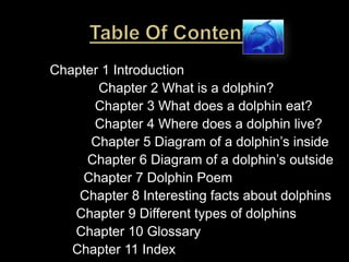Table Of Contents               Chapter 1 Introduction                            Chapter 2 What is a dolphin?                           Chapter 3 What does a dolphin eat?                           Chapter 4 Where does a dolphin live?                          Chapter 5 Diagram of a dolphin’s inside                         Chapter 6 Diagram of a dolphin’s outside                        Chapter 7 Dolphin Poem                       Chapter 8 Interesting facts about dolphins                      Chapter 9 Different types of dolphins                      Chapter 10 Glossary                     Chapter 11 Index