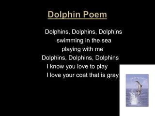 Dolphin Poem                    Dolphins, Dolphins, Dolphins                           swimming in the sea                              playing with me                  Dolphins, Dolphins, Dolphins                     I know you love to play                     I love your coat that is gray