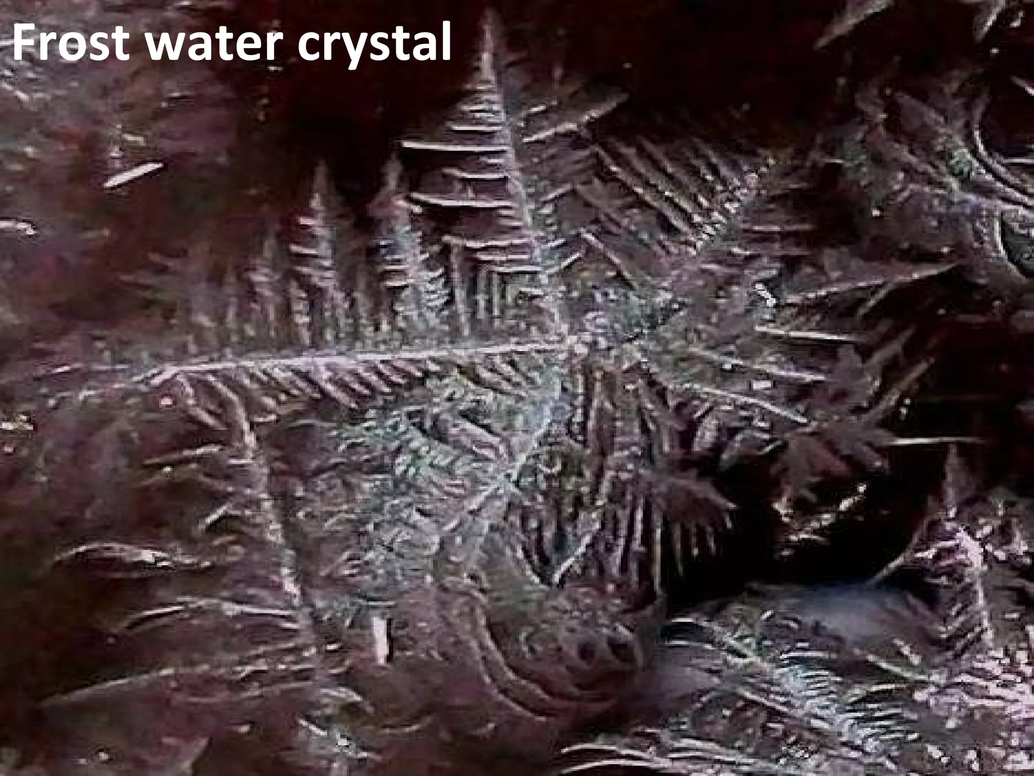 Frost water crystal 