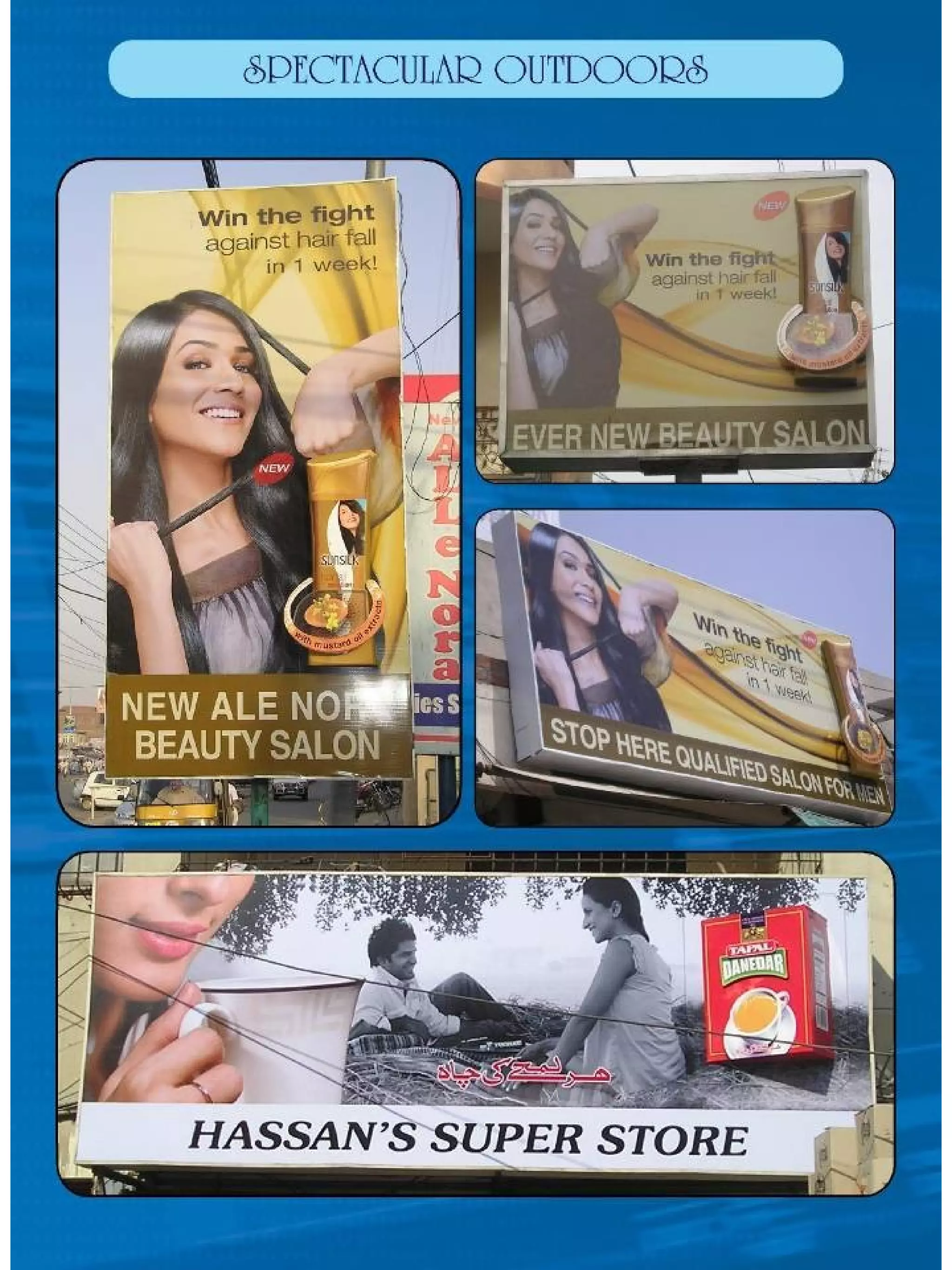 Digi Rex Presentation