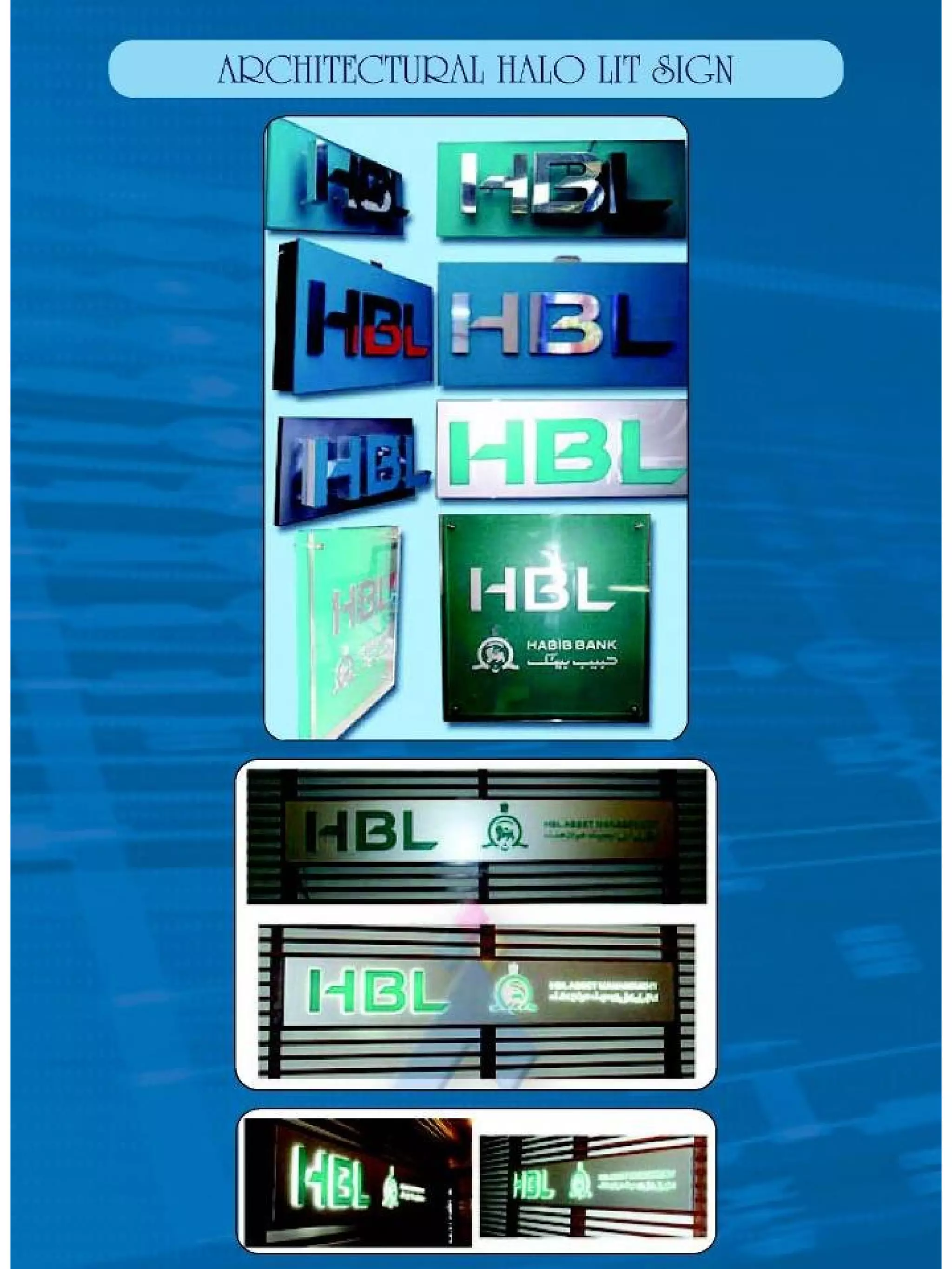 Digi Rex Presentation