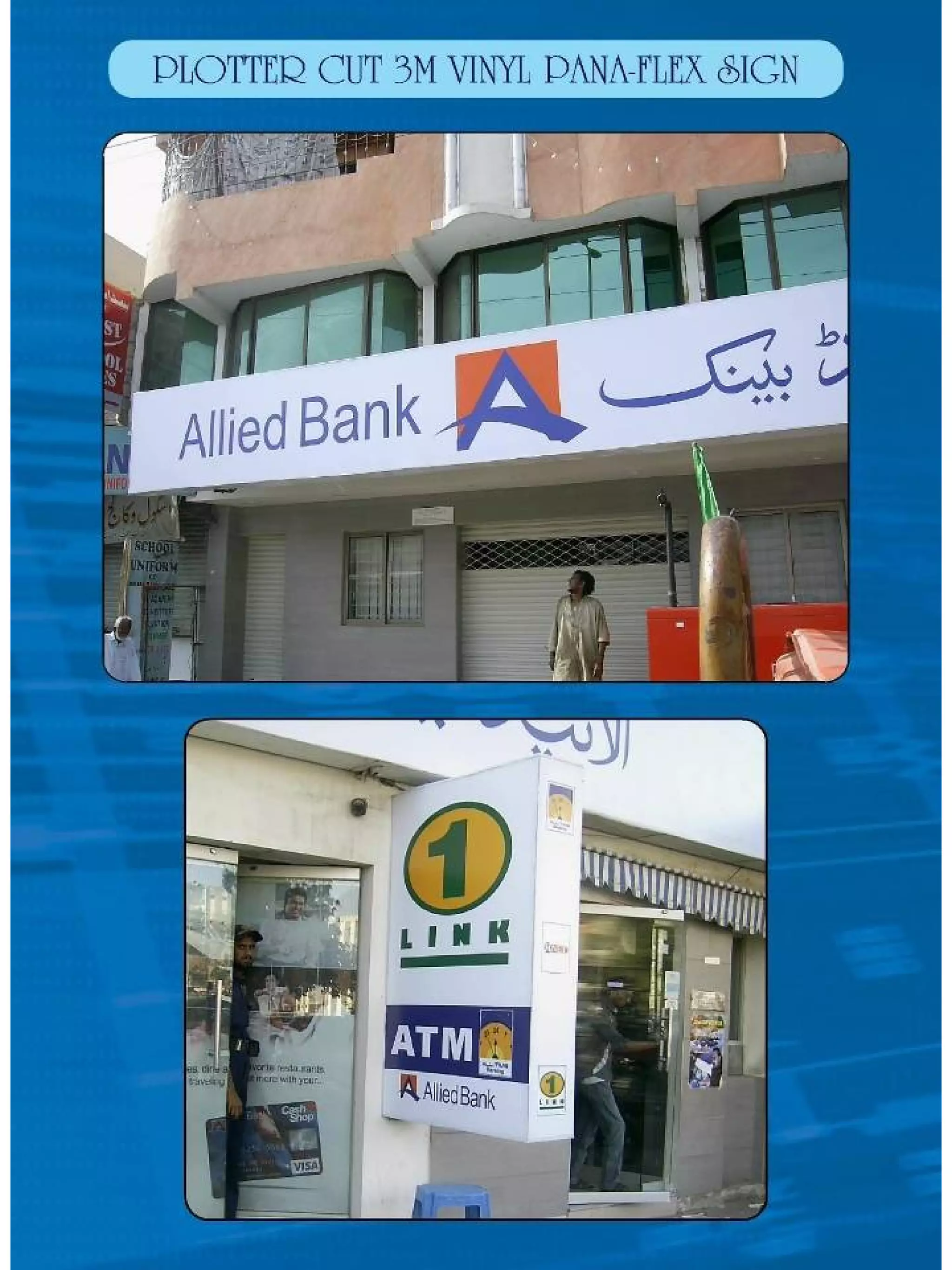 Digi Rex Presentation