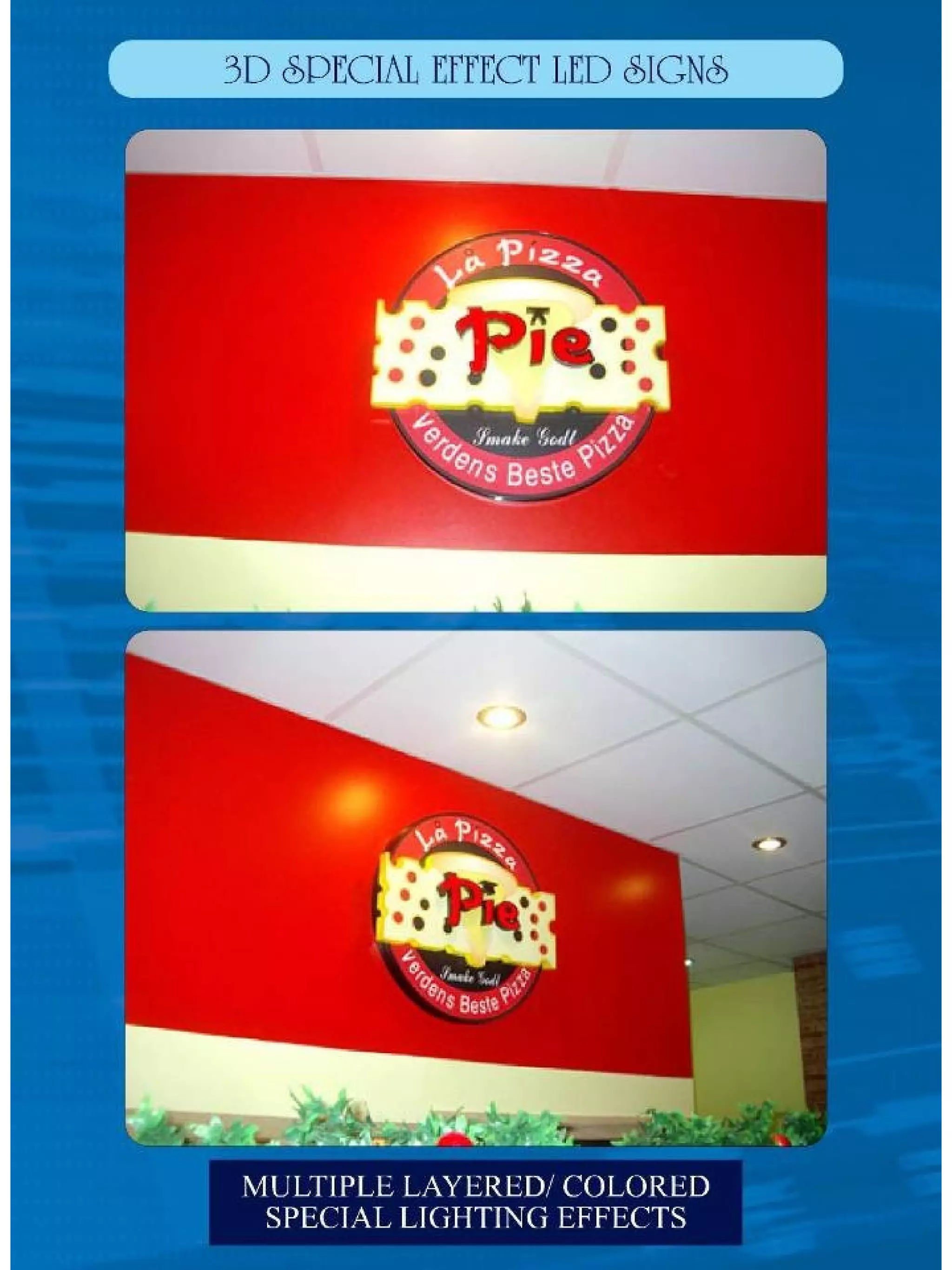 Digi Rex Presentation