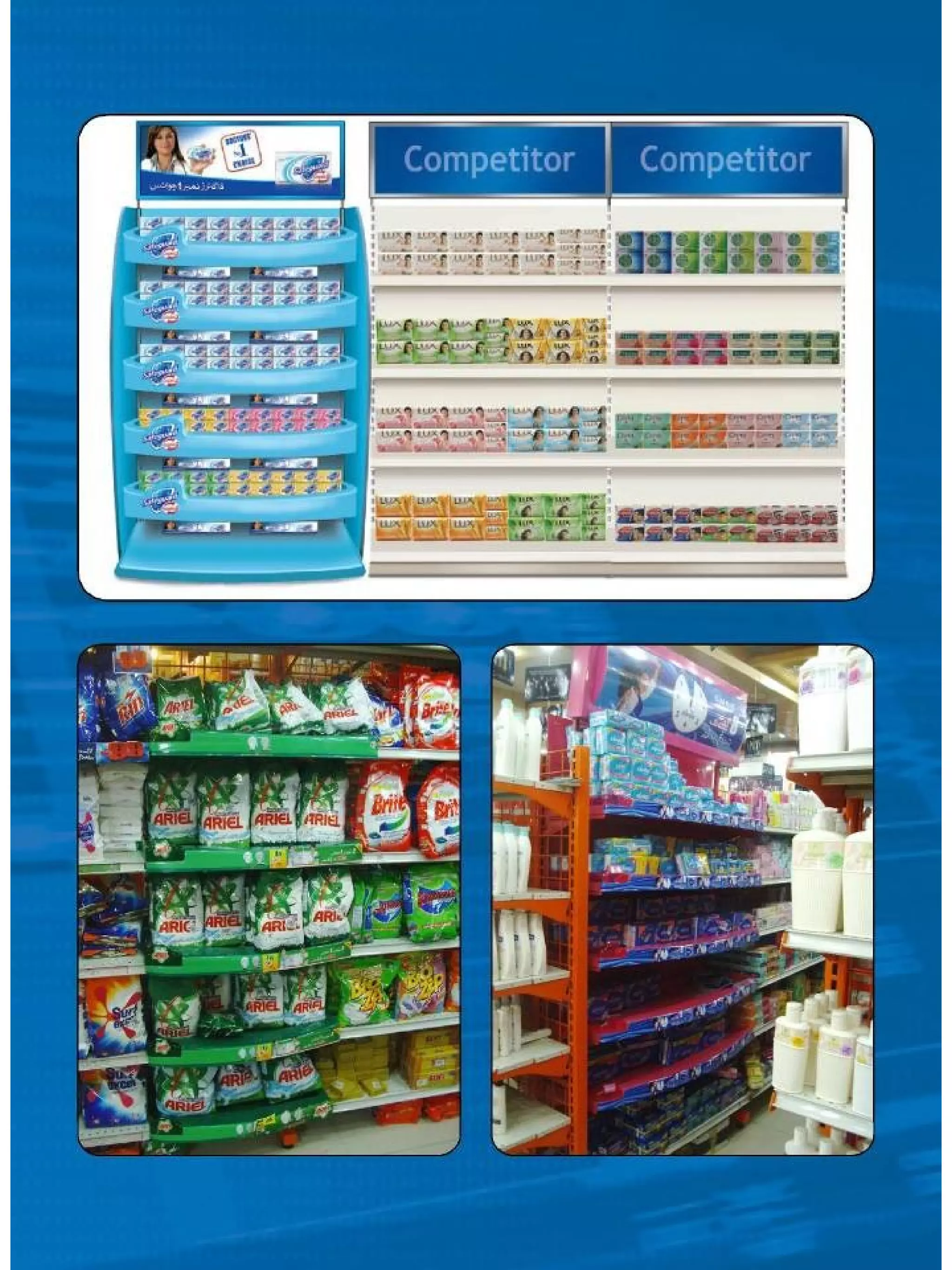 Digi Rex Presentation