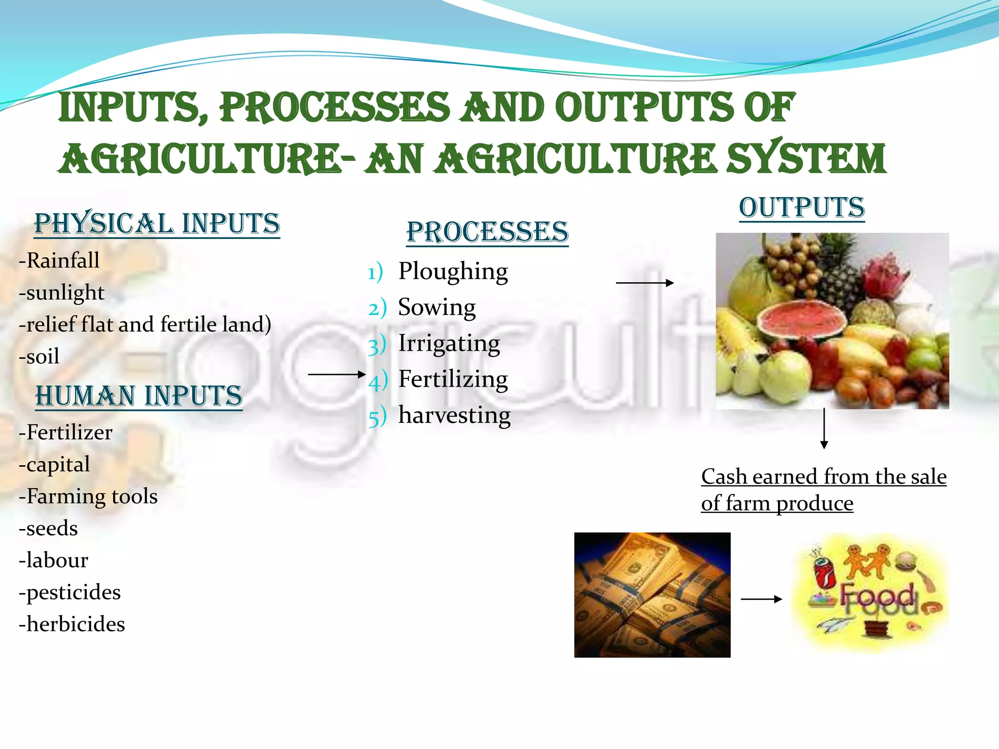  Major businesses in this sector are agriculture, agribusiness, fishing, forestry, all mining and quarrying industries. AGRICULTURE :-Agriculture in India is the major sector of its economy. 