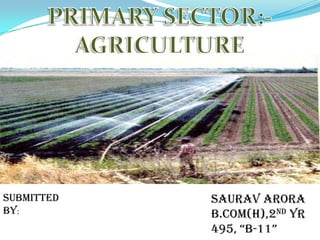 PRIMARY SECTOR:-AGRICULTURE Submitted by: SAURAV ARORA B.COM(H),2ND YR 495, “B-11” 