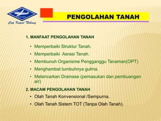 PENGENDALIAN HAMA DAN PENYAKIT