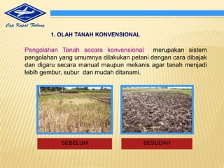 CARA PANEN DAN PASCA PANEN YANG TEPATKONDISI IDEAL BUDIDAYA JAGUNGKondisi Ideal TanahTanah gembur, subur, tidakmudahtergenang air.