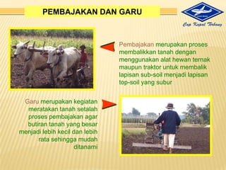 Memilikicukupbahanorganik. 