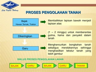 pH netralsampaiagakasam (5,5 – 7). 