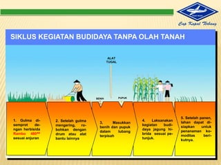 Jenistanahliatberlempung, tanahlempungatautanahlempungberpasir.