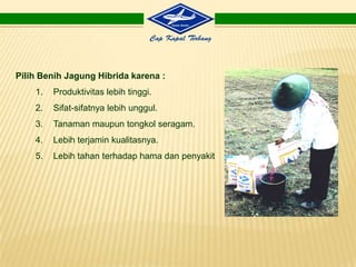 Setiapkenaikansuhu 1oC diatas 21oC akanmemeprcepatkeluarmalai