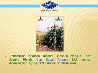 Penggunaansistem “TOT” tanpainformasidanpenyuluhan yang tepatsangatberesiko.