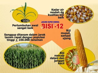 PENGOLAHAN TANAH1. MANFAAT PENGOLAHAN TANAHMemperbaikiStruktur Tanah.