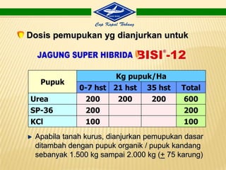 MemperbaikiAerasi Tanah.