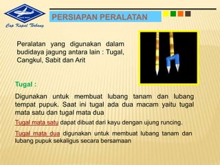 MembunuhOrganismePenggangguTanaman(OPT)