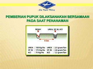 PEMBAJAKAN DAN GARUPembajakanmerupakanprosesmembalikkantanahdenganmenggunakanalathewanternakmaupuntraktoruntukmembaliklapisan sub-soil menjadilapisan top-soil yang suburGarumerupakankegiatanmeratakantanahsetalahprosespembajakan agar butirantanah yang besarmenjadilebihkecildanlebih rata sehinggamudahditanami