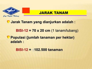 BajakHewan Ternak, TraktorMembalikkanlapisanbawahmenjadilapisanatasDikeringkan(1 – 2 minggu) untukmemberantasgulma, hamadanpenyakitdalamtanahGaruMenghancurkanbongkahantanahsekaligusmeratakannyasehinggamenghasilkanteksturtanah yang lebihgemburGARUTANAMGARUBAJAKBAJAKPROSES PENGOLAHAN TANAHSIKLUS PROSES PENGOLAHAN LAHAN