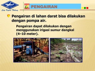 Cangkuldigunakanuntukmem-buatguludan, meratakantanahdanpenyiangangulma.Arit / sabitdigunakansaatmelakukanpembersihangulma