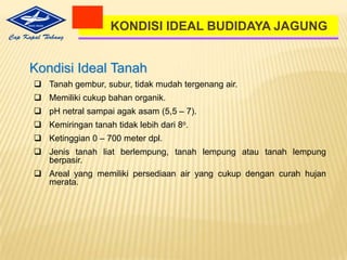 PENGOLAHAN LAHAN YANG BAIK