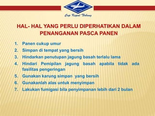 JARAK TANAMJarakTanam yang dianjurkanadalah :BISI-12 = 70 x 20 cm (1 tanam/lubang)Populasi (jumlahtanaman per hektar)  adalah :BISI-12 = ±102.500 tanaman