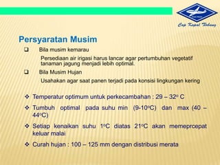 CARA BERTANAM YANG BENAR