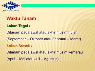 PEMUPUKAN TEPAT WAKTU DAN DOSIS