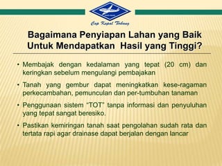 PEMBERSIHAN TANAMAN LIAR (GULMA)