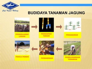 PENGAIRAN DAN DRAINASE YANG BAIK