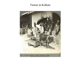 Farmer in Kolkata