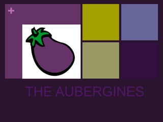      THE AUBERGINES 