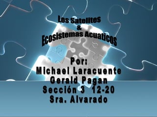 Por: Michael Laracuente Gerald Pagan Sección 3  12-20 Sra. Alvarado Los Satelites & Ecosistemas Acuaticos 