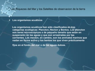 Las Riquezas del Mar y los Satelites de observacion de la tierra Los organismos acuáticos Los organismos acuáticos han sido clasificados en tres categorías ecológicas: Plancton, Necton y Bentos. Los plancton son seres microscópicos o de pequeño tamaño que están en suspensión en las aguas y que son arrastradas por las corrientes. Los mecton, en cambio, son los animales marinos que nadan en forma activa y los bentos los que viven prácticamente fijos en el fondo del mar o de las aguas dulces.   