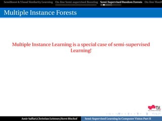 SemiBoost & Visual Similarity Learning On-line Semi-supervised Boosting Semi-Supervised Random Forests On-line Manifo



Multiple Instance Forests



      Multiple Instance Learning is a special case of semi-supervised
                                Learning!




                                                                                                            Graz University of Technology




            Amir Saffari,Christian Leistner,Horst Bischof   Semi-Supervised Learning in Computer Vision Part II
 