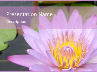 Presentation Name Description 