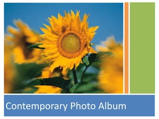 Contemporary Photo Album
 