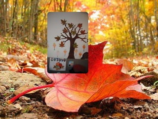 Feira Outono CEGV'11