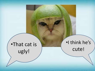 •That cat is •I think he’s
ugly! cute!