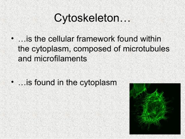 Presentation2