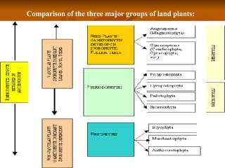 Comparison of the three major groups of land plants: 